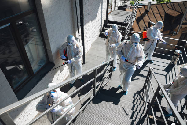 Best Mold Odor Removal Services  in Eaton, IN