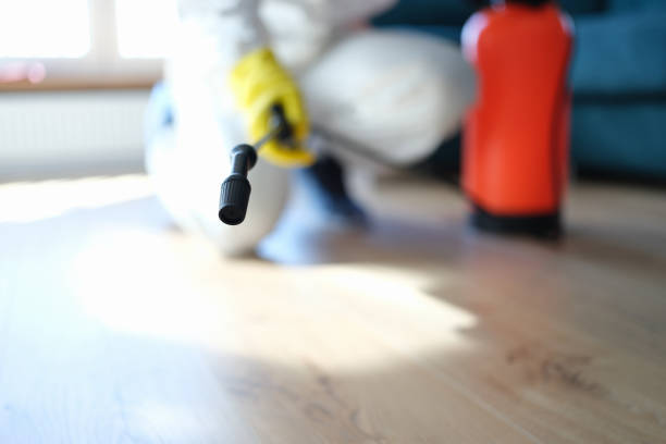 Best Asbestos and Lead Testing During Mold Inspection  in Eaton, IN