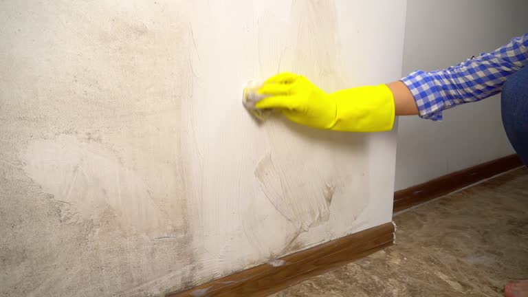 Best Indoor Air Quality Assessment  in Eaton, IN