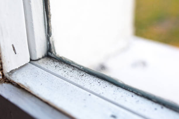 Mold Remediation for Vacation Homes in Eaton, IN